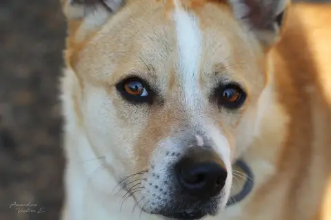Max photo 3