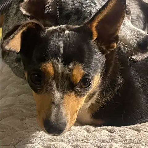 Pablo