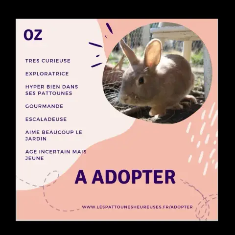 Oz