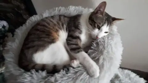 Filou