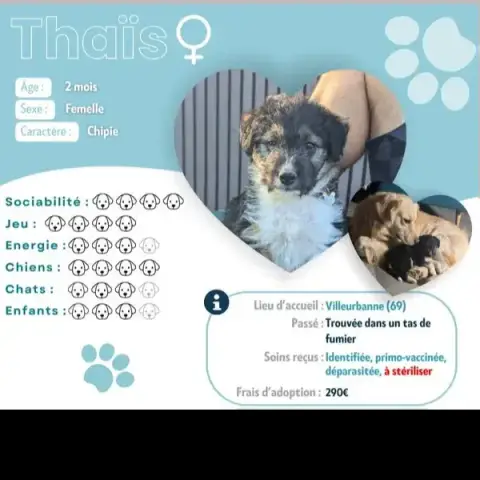 Thaïs