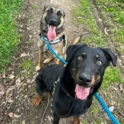 Alaska Et Nala