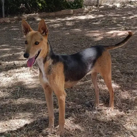 Zoé photo 3