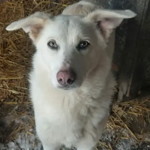 Floki photo 2