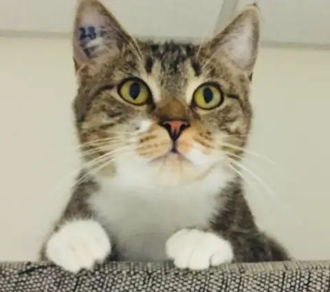 Luna