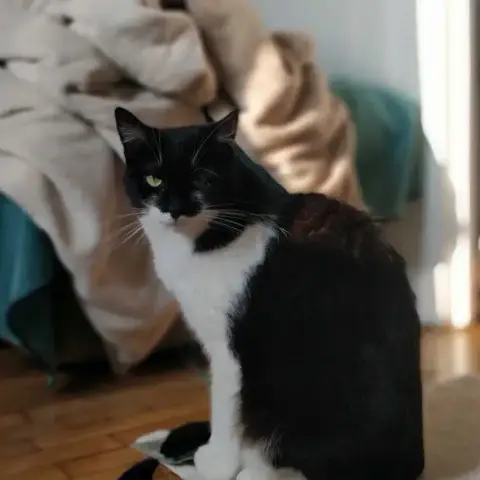 Salomé photo 3