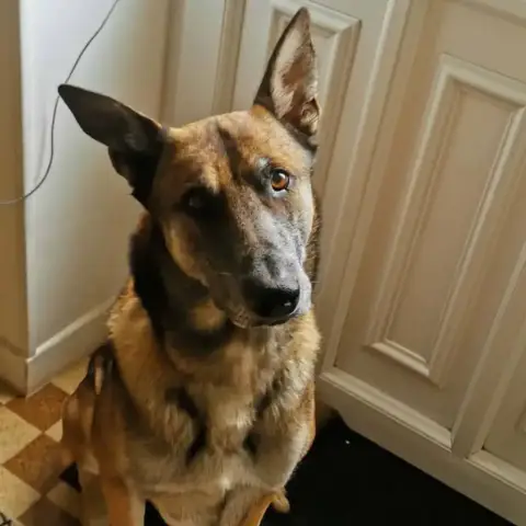 Zarko
