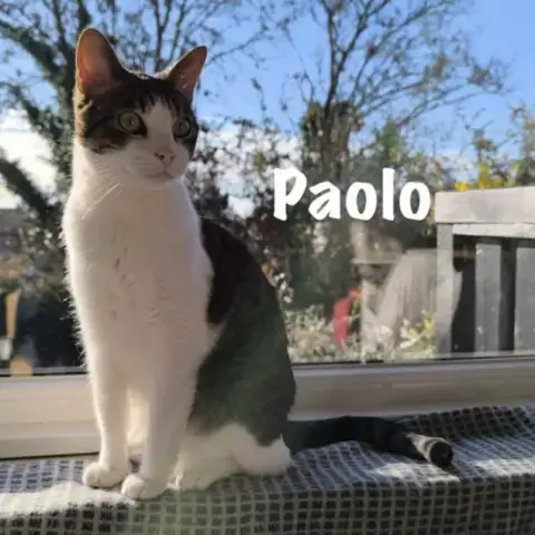 Paolo photo 2