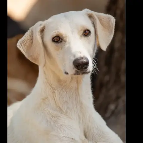 Winki photo 2