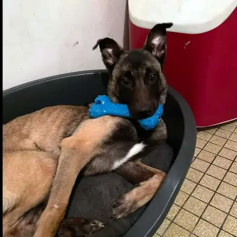 Zeus photo 2