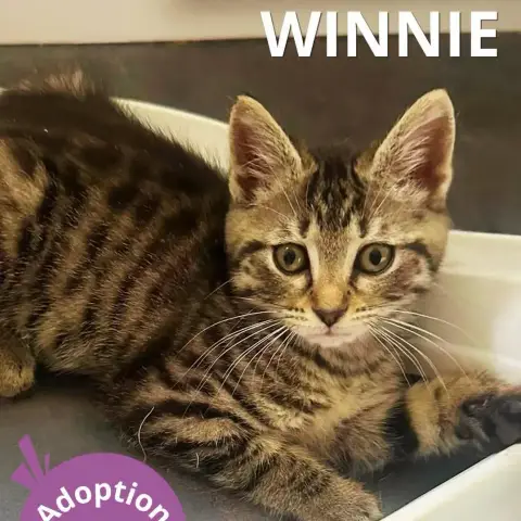 Winnie