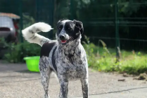 Ralu photo 3