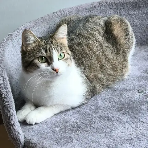 Anya