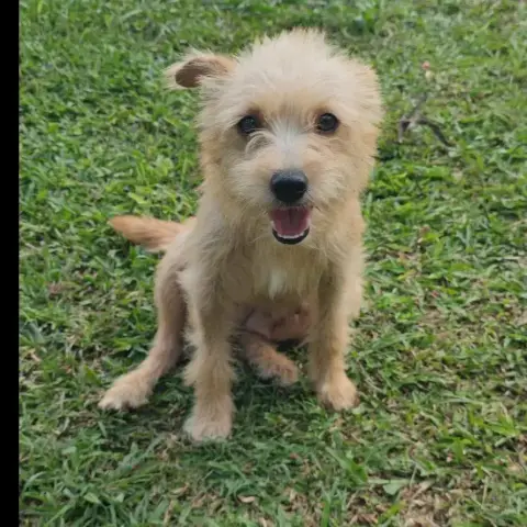 Lucie