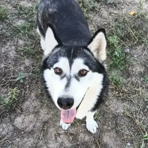 Emma photo 2