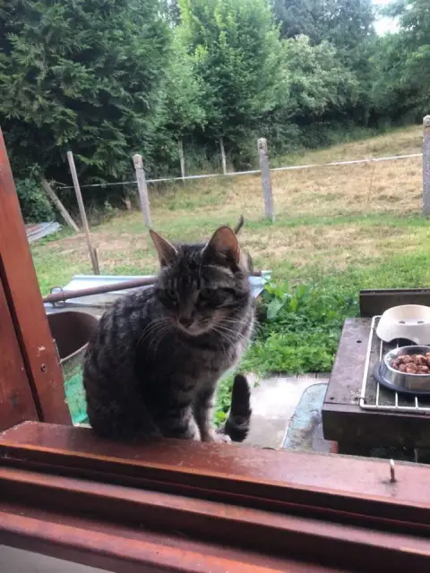 Nina