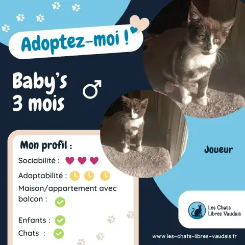 Baby'S photo 3