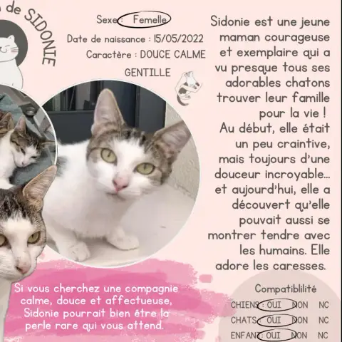 Sidonie