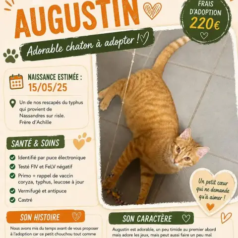 Augustin