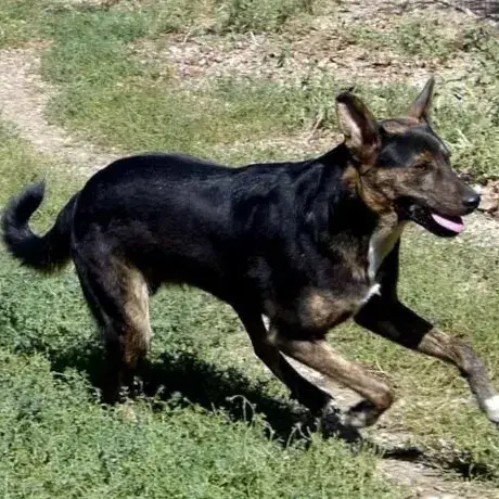 Clyde photo 2