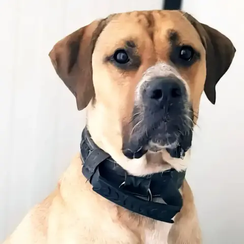 Tyson