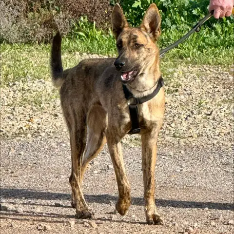Hugo photo 2