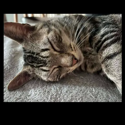 Maggy Ou Miss Bisous photo 2