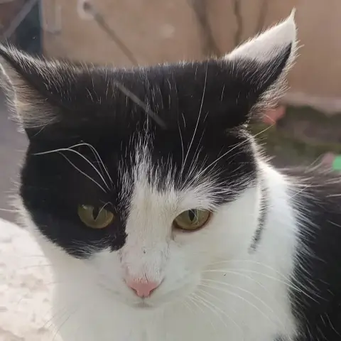 Luna