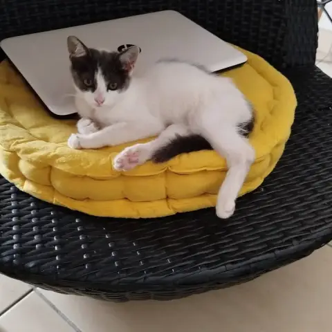 Kira photo 2
