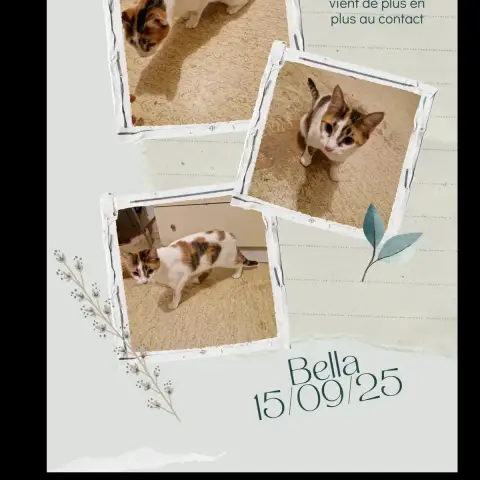 Bella photo 2