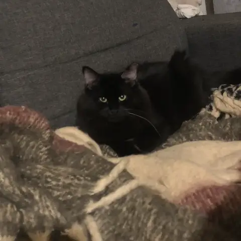 Baloo