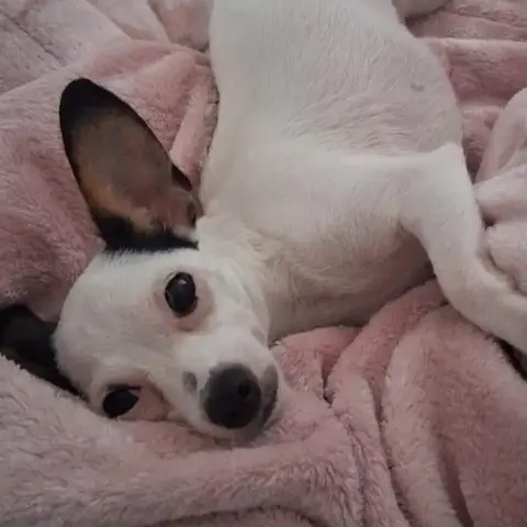 Betsy La Douce photo 3