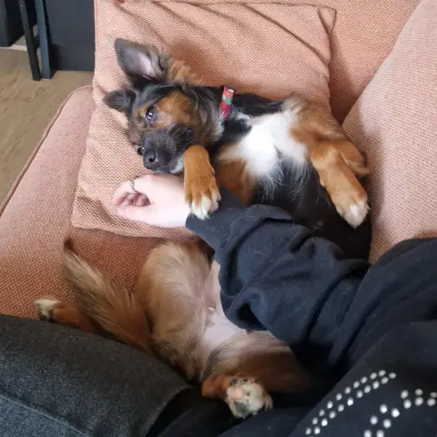 Keysa
