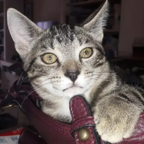 Zeus photo 3