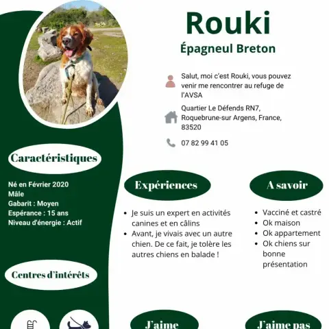 Rooki photo 2