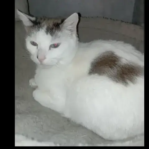 Sophie photo 2