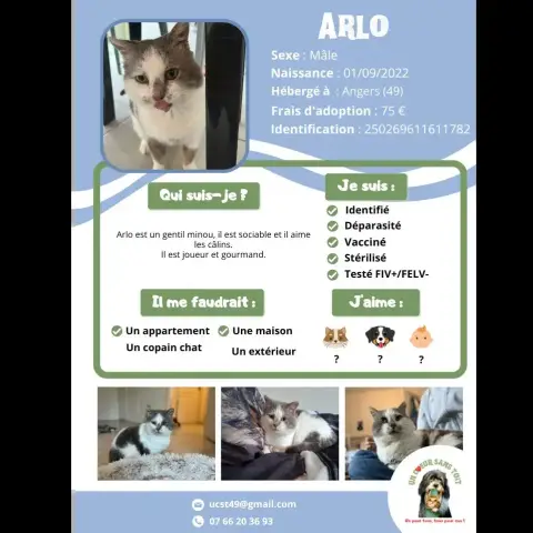 Arlo
