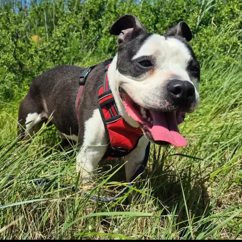 Oscar photo 3