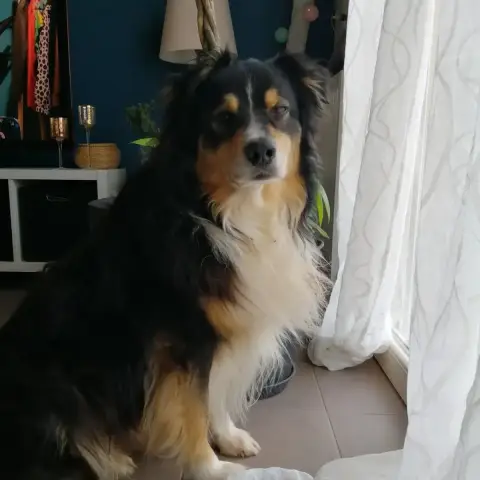 Jack