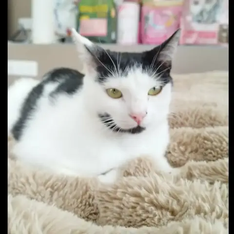Mimi photo 3