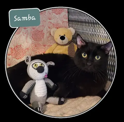Samba