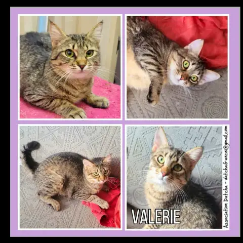 Valerie