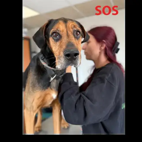 Paco