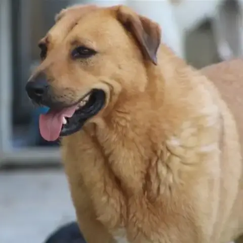 Zeus photo 2