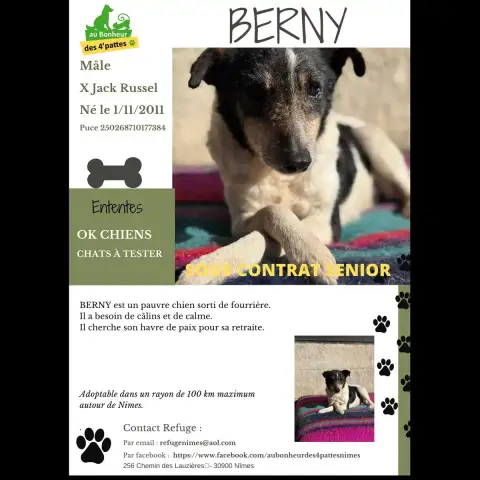 Berny
