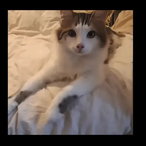 Uky