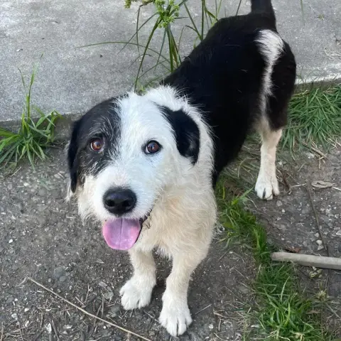 Ralph photo 2