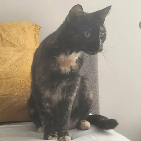 Noisette
