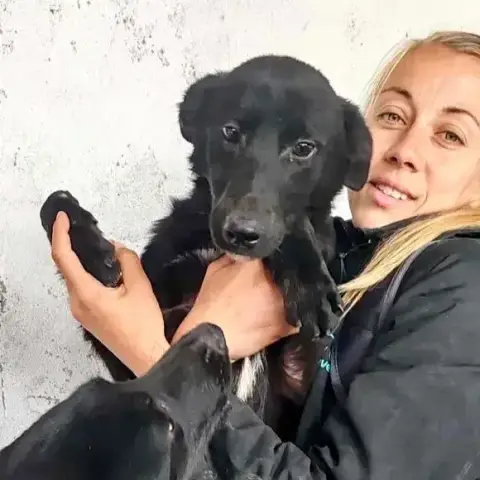 Zaska