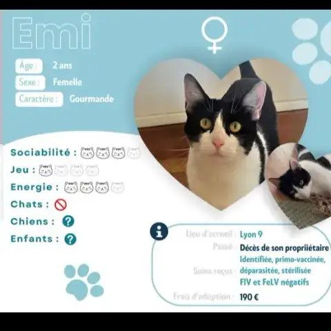 Emi